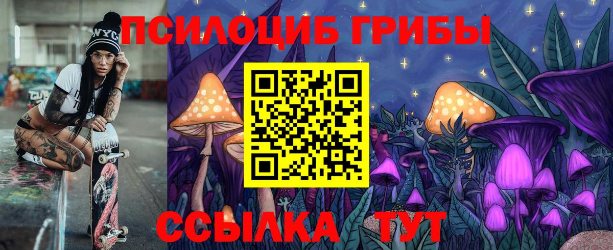 Чистополь  Галлюциногенные грибы ЛСД  Вход с VPN 