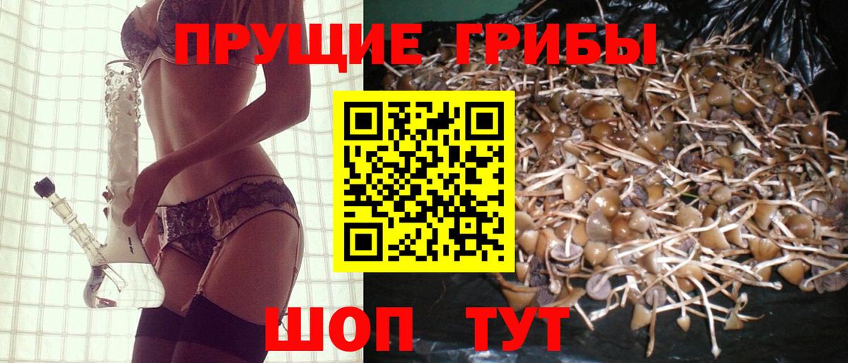 Галлюциногенные грибы Magic Shrooms Чистополь